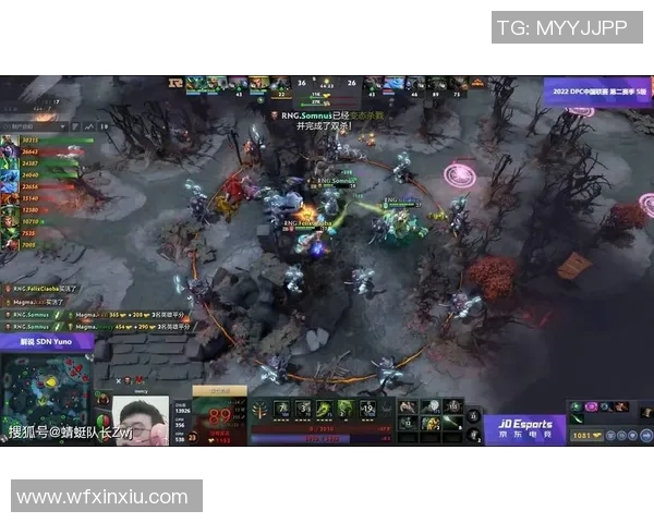 DOTA2热议：RNG的技术争议