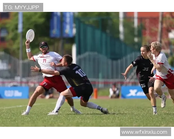 飞盘焦点：成都飞盘队的节奏探讨